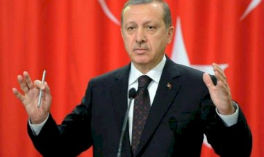 عَبْر  حزب الإصلاح.. تركيا تخطط لتطبيق النهج الليبي والسوري في اليمن