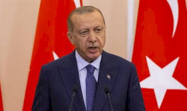 مكالمة مُسرَّبة تكشف فساد شقيق أردوغان واستغلاله لنفوذه