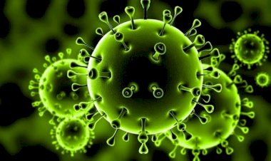 قرارات حازمة و120 مليار ريال.. كيف تواجه المملكة السعودية فيروس 