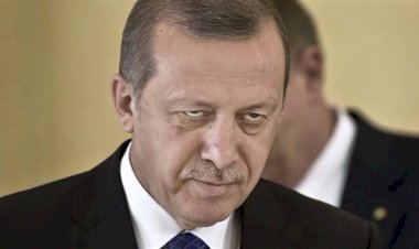 مَخاوِف من  تورُّط «النظام التركي» في تهريب إرهابيين عَبْر الأراضي الجزائرية