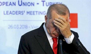 ضربة جديدة لأردوغان باليمن.. الانتقالي يُحبط مشاريع تركيا وقطر في سقطرى