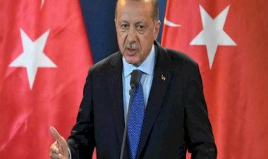 من الغاز والإعلام إلى العقارات والحليب.. شراهة الجيش التركي في