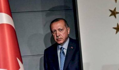 نهب ثروات وانتهاكات إنسانية.. ماذا فعل أردوغان في سوريا؟