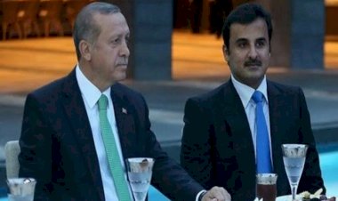 تقرير أجنبي: أردوغان يعادي العرب وينحاز لقطر منتهكة حقوق الانسان