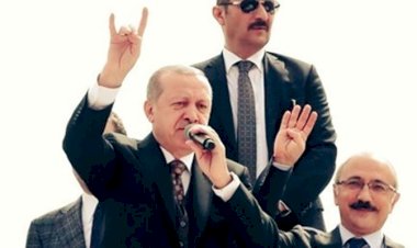 حركة الذئاب الرمادية.. فرنسا تستعد لقطع يد أردوغان الإرهابية