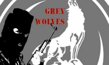 صفعة فرنسية لتركيا بعد حل الذئاب الرمادية وأردوغان يهدد بالانتقام