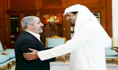 إرهاب دموي.. جرائم وحشية لميليشيات حماس ضد نساء فلسطين