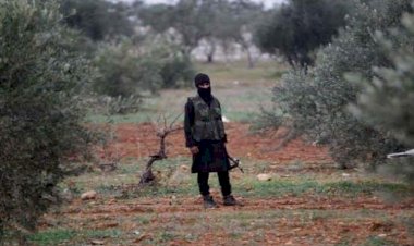 كيف سرقت تركيا وميليشياتها موارد سوريا وباعتها للأسواق الغربية