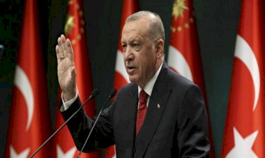 دير شبيغل: بعثة 