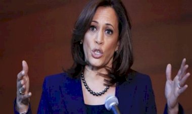 كامالا هاريس.. نائبة بايدن المثيرة للجدل