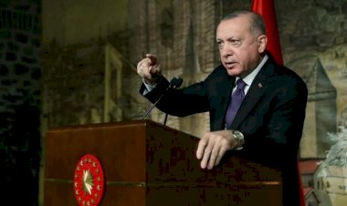 تركيا والإخوان.. من التجنيد إلى التمويل والاحتضان