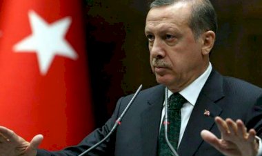 المرأة الحديدية: وضع أردوغان 