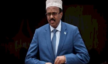 روبلي في مواجهة ارهاب فرماجو.. لماذا يثق الصوماليون والمجتمع الدولي برئيس الوزراء الصومالي