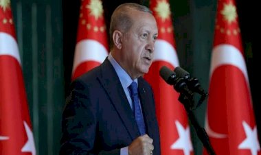 أردوغان ينتهك القوانين الدولية وينشر جواسيسه في السفارات