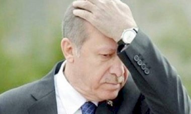 وثيقة مسربة تكشف اعتراف حكومة أردوغان بسجن 174  صحافيًا