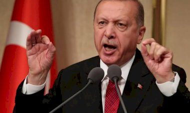 كيف استولى مقربون من أردوغان على أموال أشهر رجال الأعمال بالعالم؟!