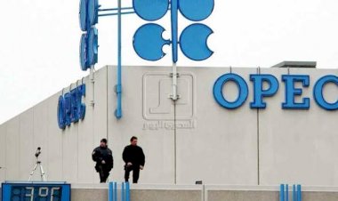 مغردون سعوديون يُحبِطون حملة لتسييس قضايا أوبك: نحن والإمارات شعب واحد