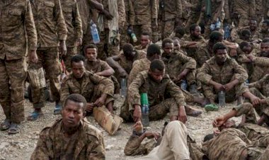 هل يقحم آبي أحمد  بلاده في حرب خاسرة أمام الجيش المصري؟ تقارير دولية تجيب