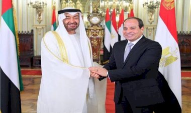 بعد لقاء السيسي وطحنون بن زايد لتعزيز التعاون.. تعرف على أبرز الاستثمارات الإماراتية في مصر