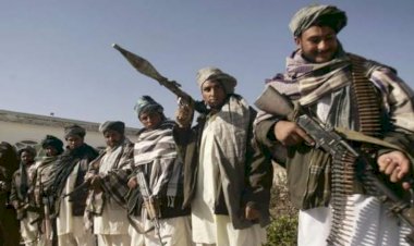 بعد الاحتفاء بعودة مساعد بن لادن إلى أفغانستان …هل يعود  القاعدة لترتيب صفوفه تحت حكم طالبان؟