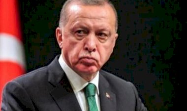 بعد إعلان عودة مباحثات المصالحة المصرية التركية.. ما تداعيات القرار على الإخوان؟