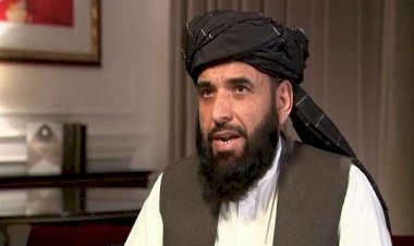 بعد ترشيحه مندوبا للأمم المتحدة عن حركة طالبان بدعم قطري.. من هو سهيل شاهين؟