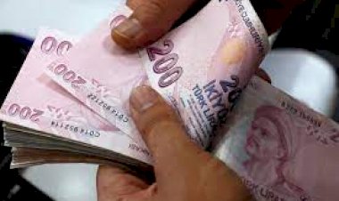 الجريدة الرسمية فى تركيا: 