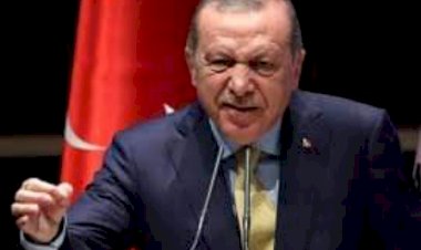 نورديك مونيتور: البعثات الدبلوماسية التركية في أوروبا تحولت إلى نوادٍ لحزب أردوغان