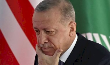 أردوغان يواصل نشر الفوضى في الشمال السوري.. و5 ملايين دولار لإحياء الميليشيات