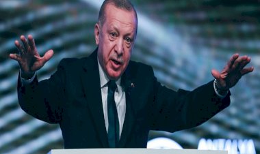 بطريقته الخاصة … أردوغان ينتقم من مسؤولين أتراك شاركوا في احتجاجات جيزي