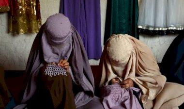 بلومبيرغ: طالبان تزعم رفض الأفغانيين تعليم بناتهم.. والشعب يكذبهم