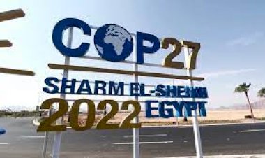 قمة المناخ.. العالم يجتمع في مصر لبحث مصير البشرية.. ما التفاصيل؟