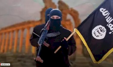 محلل سوري: مخيم الهول سيكون قنبلة موقوتة لعودة التنظيم الإرهابي