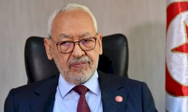 نشطاء جزائريون: لن نتدخل في الشأن الداخلي لتونس.. ونرفض دعوة الإخوان