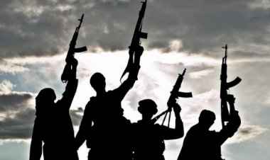 كيف ساهم مجلس الإمارات للإفتاء والإفتاء المصرية في محاربة التطرف؟