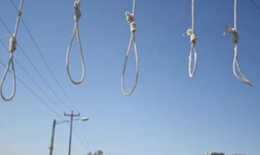 آلة قتل جماعية.. شهر مايو يشهد أكبر معدل إعدامات في إيران منذ 8 سنوات