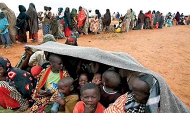 كيف يواجه السودانيون أزمة جحيم البقاء وتعسر المغادرة مع استمرار الصراع السوداني؟