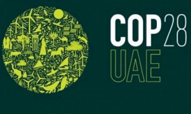 كيف تسعى الإمارات تعزيز الاستدامة وتنويع مصادر الطاقة؟