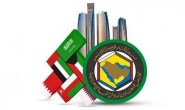 برلماني سعودي سابق: العلاقات الإماراتية الخليجية تعكس الترابط والقوة