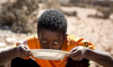 من الموجات الحارة للأزمات السياسية.. العالم يواجه أسوأ موجة من انعدام الأمن الغذائي