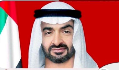 أستاذ علوم سياسية: الإمارات تلعب دوراً مهماً في استقرار قارة إفريقيا وحل أزمة سد النهضة