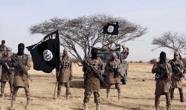 رحلة الإخوان من السودان وتشاد نحو النيجر للانضمام لصفوف القاعدة وداعش