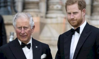 هل يتصالح الملك تشارلز والأمير هاري؟