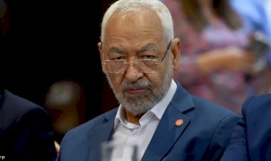 محلل تونسي يكشف مخطط حركة النهضة لاستهداف الدولة بالشائعات والأكاذيب