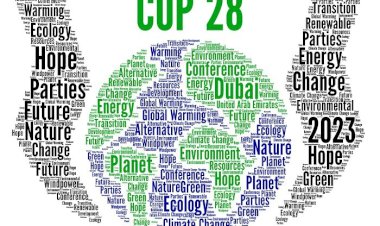 بعد اتفاقات مجموعة العشرين.. العالم يعول على الإمارات للتخلص من الوقود الأحفوري في COP28