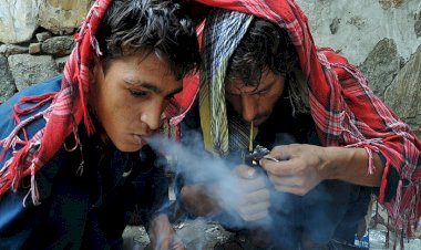 الغارديان: الحملات الغربية للقضاء على المخدرات في آسيا والشرق الأوسط فاشلة