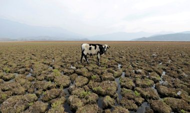 بعد كارثة ليبيا.. هل تنجح الإمارات في إجبار الدول الغنية على خفض الانبعاثات؟
