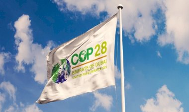 تقرير أوروبي: على الغرب اتباع نهج الإمارات في مواجهة تغيُّرات المناخ خلال COP28