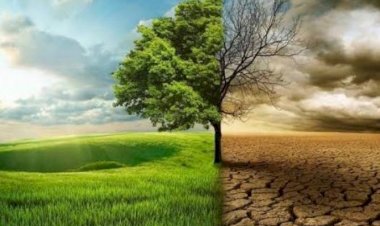 أظهرت دراسة حديثة أن نهاية البشر وجميع الثدييات على الأرض ستكون بسبب الاحترار الشديد