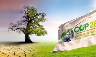 الالتزام بإرشادات المناخ.. محاور ومحادثات مؤتمر المناخ كوب28 في دبي